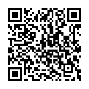 他却也同样还是没有寻找到任何的有价值的信息二维码生成