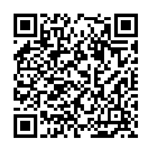 他却只能看着血肉磨盘一层又一层的刷去他的力量二维码生成