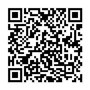 他却是不能坐视两个同伴如此轻易便失去战力而不管二维码生成