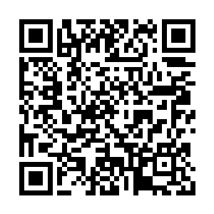 他却毫无半点心思去寻找飘荡在这里的古老印记二维码生成