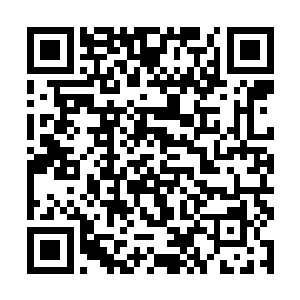 他却看到了一只活生生的神兽……虽然还处于幼生期二维码生成