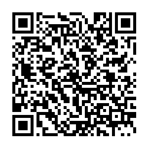 他却突然发现这层隔膜似乎是一扇高不可攀的大门阻挡着他的前进二维码生成