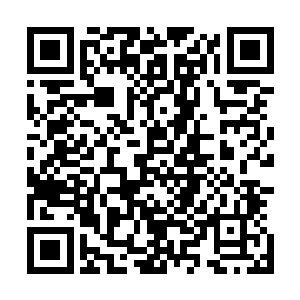 他却觉得那些和自己长得一模一样的同类是如此残忍和恐怖二维码生成