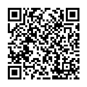 他却还是不愿意吐露自己的真实姓名身份来历背景二维码生成