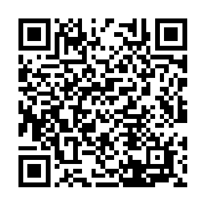 他原本以为人族会借助这庞大舰队的进击作为幌子二维码生成