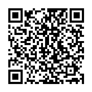 他原本以为天衣无缝的计划成了军师借来反捅他一刀的利器二维码生成