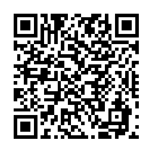 他原本以为约瑟夫是自己来到这个时空里第一个认识的人二维码生成