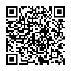 他原本以为自己的虫体异能已经算极为偏门和强悍二维码生成