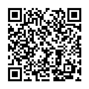 他原本以为这名盘古族是在天然环境中自生自灭的二维码生成