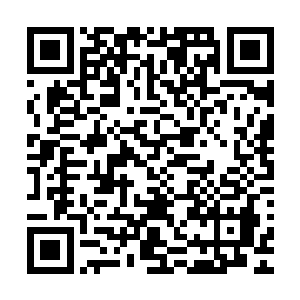 他原本准备在所有的客人离开后再去荒岛进行一次彻底的检查二维码生成