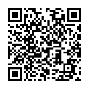 他原本只是来弄明白妖兽为何要抓小白以及找到天元果二维码生成