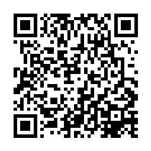 他原本应该意气风发和他的先祖一样指点江山一世风流二维码生成