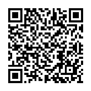 他原本的实力只是仙君中期巅峰并未达到临界点二维码生成