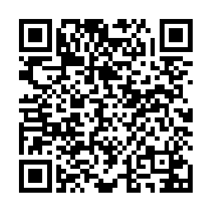 他原本的意思是想将那些被斩杀的异兽尸体运回天命殿二维码生成