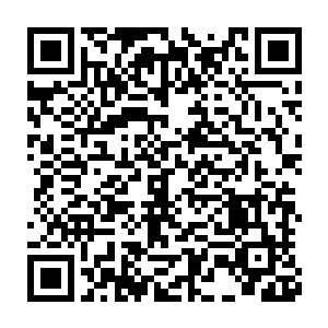 他原本被撕裂近半的颈部裂口处竟然开始长出一些极细极小的肉须二维码生成