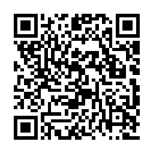 他去戈多家附近的一个人工湖公园里绕着湖跑圈二维码生成