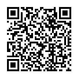 他又会情不自禁的把现在的她和小时候的她作对比二维码生成