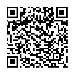 他又凭什么说我不可能演绎感染值在五十以上的丧尸电影二维码生成