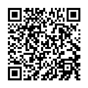 他又想起之前得到有关树圣曾经对华夏九不利的消息二维码生成