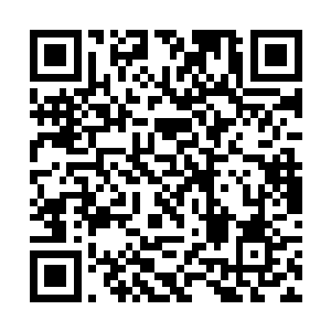 他又看了看一直站在杨开身边的杨修竹和楚寒衣等人二维码生成