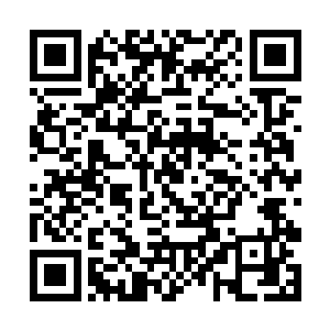 他又转身在旁边的一个柜子里取过一个肩背的旅行包二维码生成