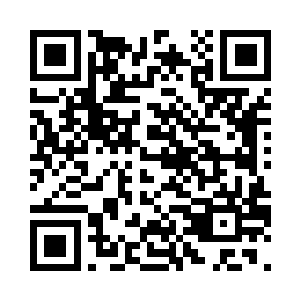 他反而是看上去最不感到惊讶的一个二维码生成