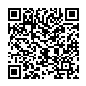 他发现一直保持着平静的楚香瑗终于有了一丝细微的变化二维码生成