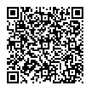 他发现他体内那融合了T病毒和僵尸病毒的血液对于那些僵尸可以说是天下无双的补品二维码生成