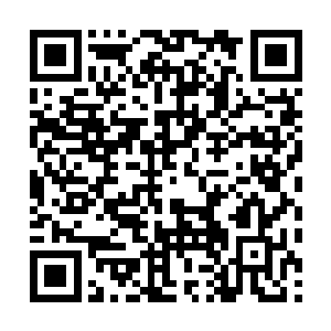他发现或许是因为僵尸病毒和T病毒的互相融合与克制二维码生成