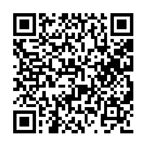 他发现眼前盔甲男胸前所挂的乃是一枚钻石勋章二维码生成