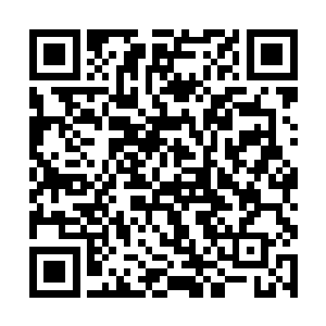 他发现自己的神识竟然一下子没有穿透小男孩的身体二维码生成