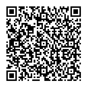 他发现那原本因为不远处一片灭世天火所带来的惊人高温对他所造成的影响居然也下降了许多二维码生成