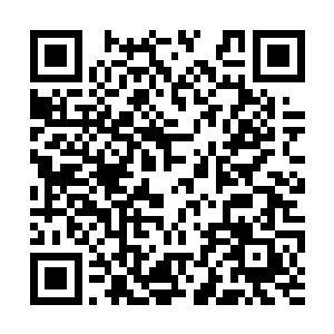 他取出一张南方巫师联盟开具的马文的死亡证明书二维码生成