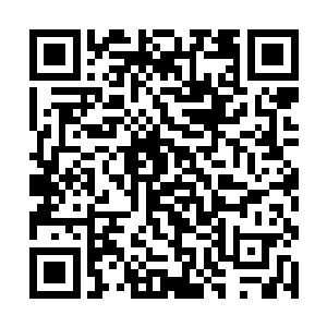 他取出了从黑杰克身上得到的那块红路放逐者的信物二维码生成