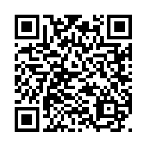 他口中的瘫队也就是w1的现任队长微笑二维码生成