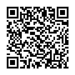 他口中的老刘头就是这次随罗平同来跑腿的那位二维码生成