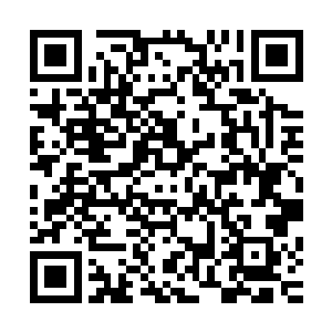 他古辉晨也不会由一个区区舵主级层次的强者一提名就被选入二维码生成