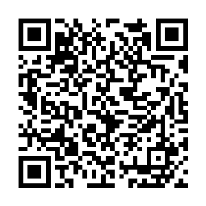 他只在路过那个有雕像的房间门口时稍稍放慢了度二维码生成