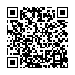 他只希望龙腾派的人能够早点接触到外界的信息二维码生成