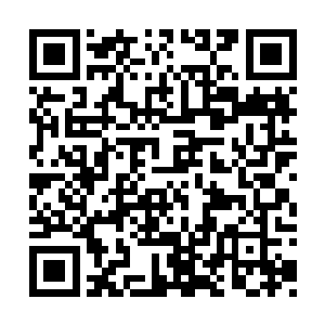 他只想带着这些跟着他一路义无反顾而来的儿郎二维码生成
