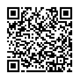 他只感觉自己的拳头被一只冰冷的手掌给包裹住了二维码生成