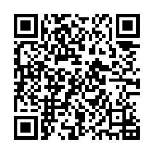 他只感那样情况应该是与左司府邸外面的玻璃罩样物件有关二维码生成