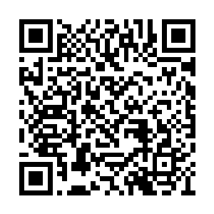他只是个因为姻亲关系得到了一点照顾的小人物二维码生成