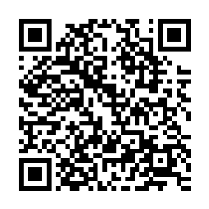 他只是在方舟基金会的流动医疗车上进行了非常详尽的大脑扫描二维码生成