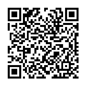 他只是在更深一步地体会人类社会的动态平衡问题二维码生成