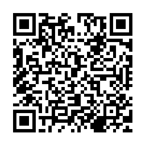 他只是想用近距离观看这样一座跟未来青年城大小类似的人工岛二维码生成