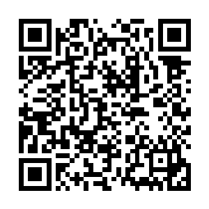他只是想要让她再给自己做一次上次做的那个什么烤肉二维码生成