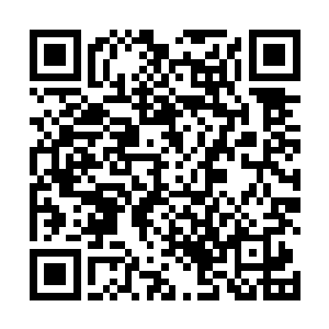 他只是想要这个懒散的门主回去做他自己的工作而已啊二维码生成