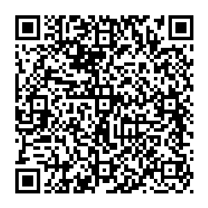他只是把这个每日到潜龙岛的码头鱼市中买一些沙鳞然后再把那些沙鳞全部倒入到海中的奇怪任务交给了保罗二维码生成