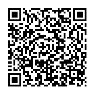 他只是檀九大人在外面随便用几根捡来的木头和椰子壳拼凑起来的二维码生成